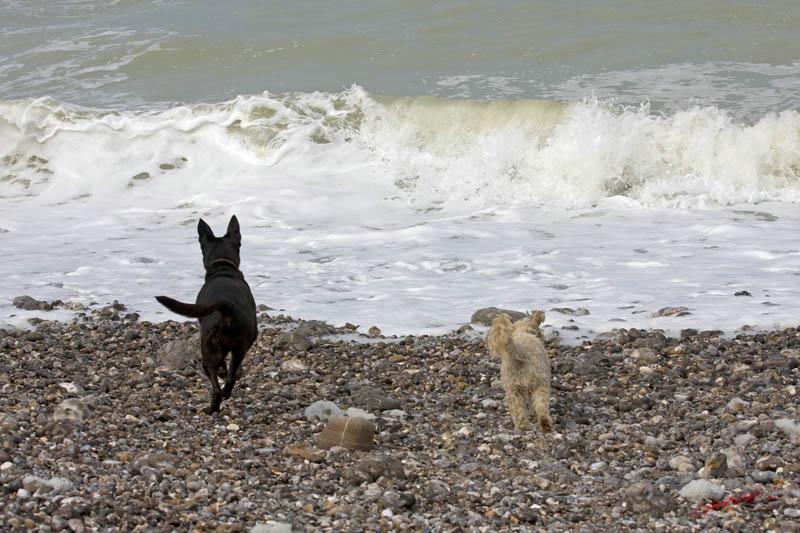 Cjp_2010_04_14_132903 (2).jpg